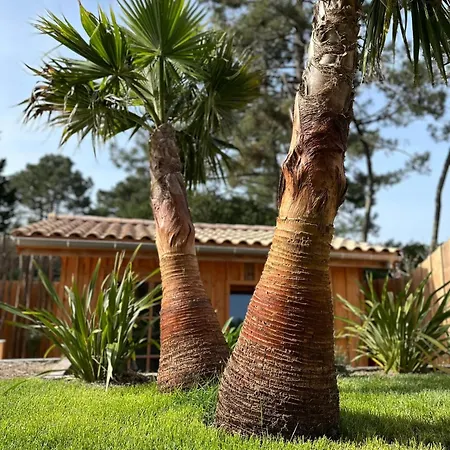 La Les Inseparables *