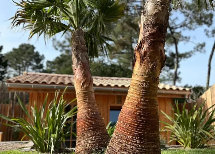 La Les Inseparables *